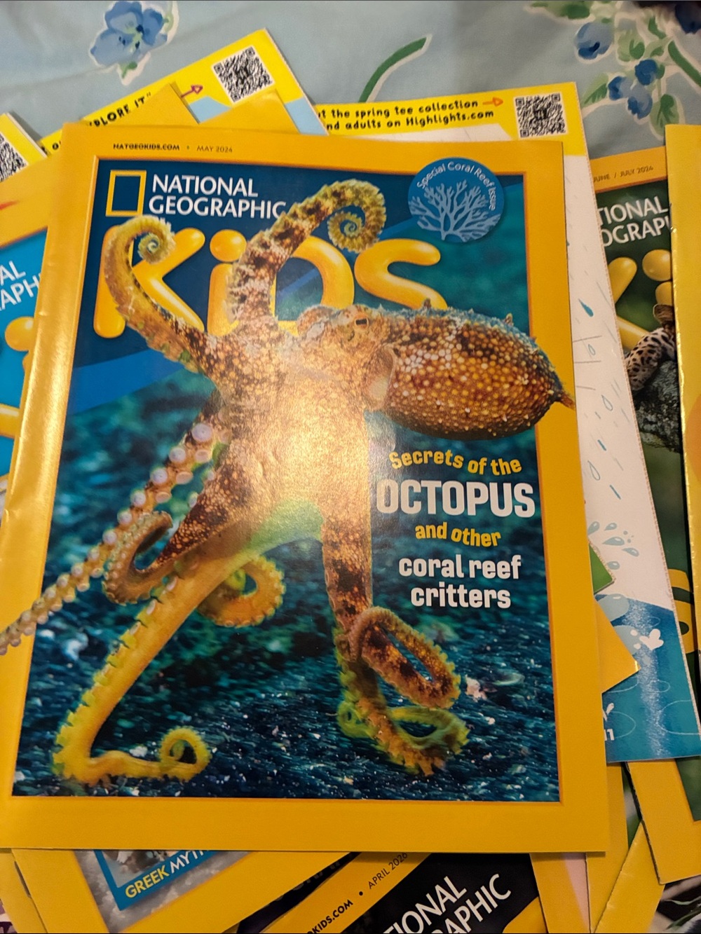 National Geographic Kids Octopus Cover — Yellow & Blue